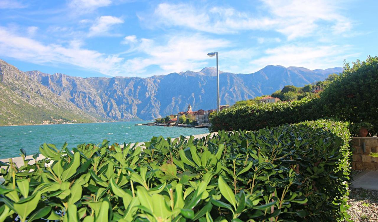 Apartment Miramare Kotor Zewnętrze zdjęcie