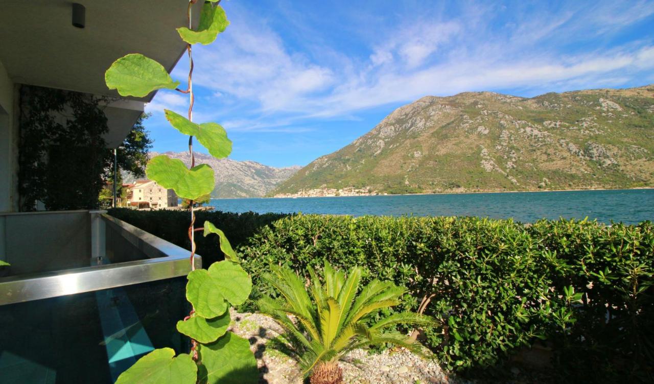 Apartment Miramare Kotor Zewnętrze zdjęcie